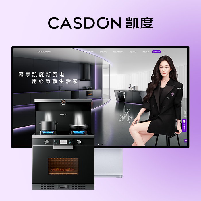 凯度电器 案例图片